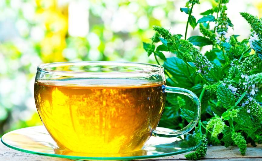 Чай с мелиссой | методы лечения заболеваний