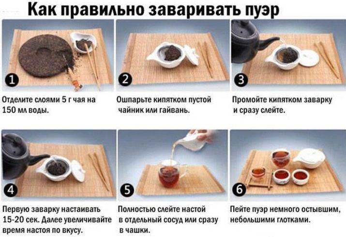 Как правильно заваривать чай пуэр | relife