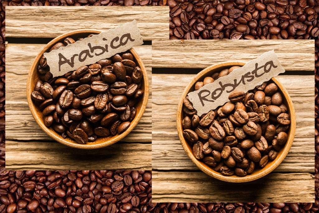 Кофе в зернах: какой лучше, чем отличается + отзывы