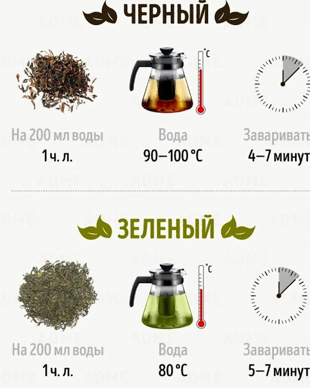 Как правильно и вкусно заваривать чай – делимся секретами