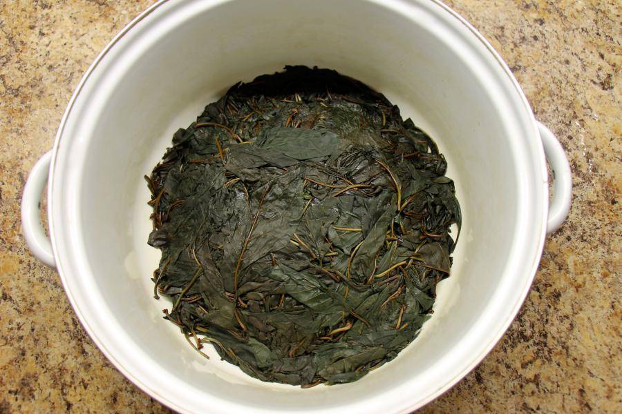 Ферментированный чай из листьев вишни: польза и вред