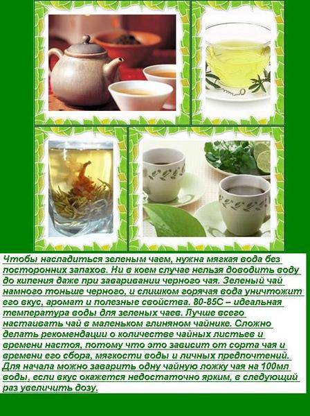 Черный чай: польза и вред напитка для организма человека
