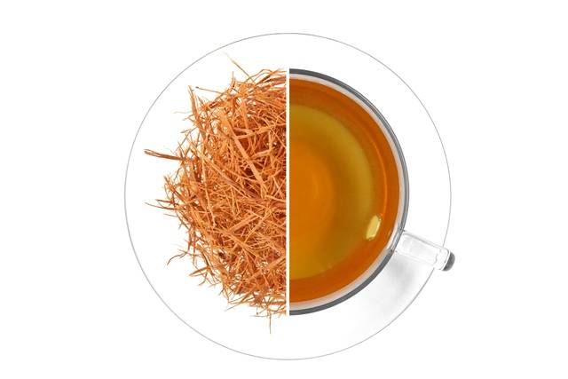 Чай лапачо: полезные свойства и противопоказания, как заваривать