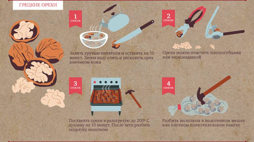 Как чистить грецкие орехи: 6 простых способов