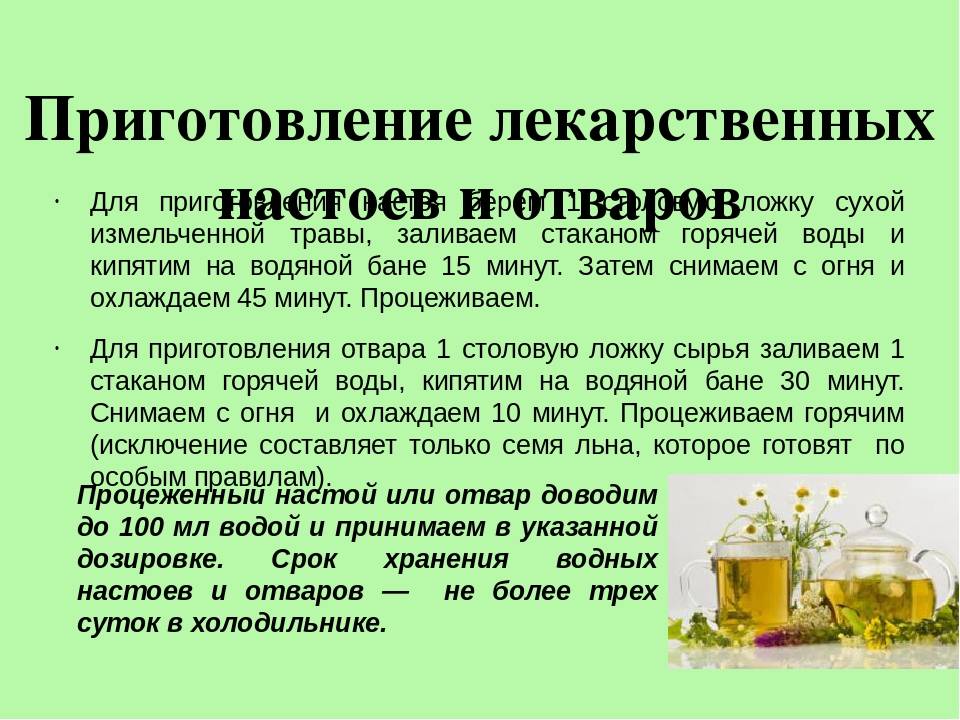 Травы и чаи от паразитов: что пить, чтобы избавиться | чайиванкипрейевич.ру, больше известный как "чай с лисой"