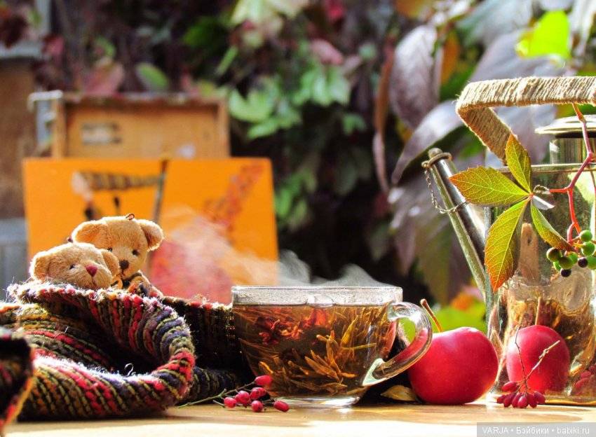 Что пить вместо обычного чая и кофе: 10 полезных альтернатив по исконно русским традициям