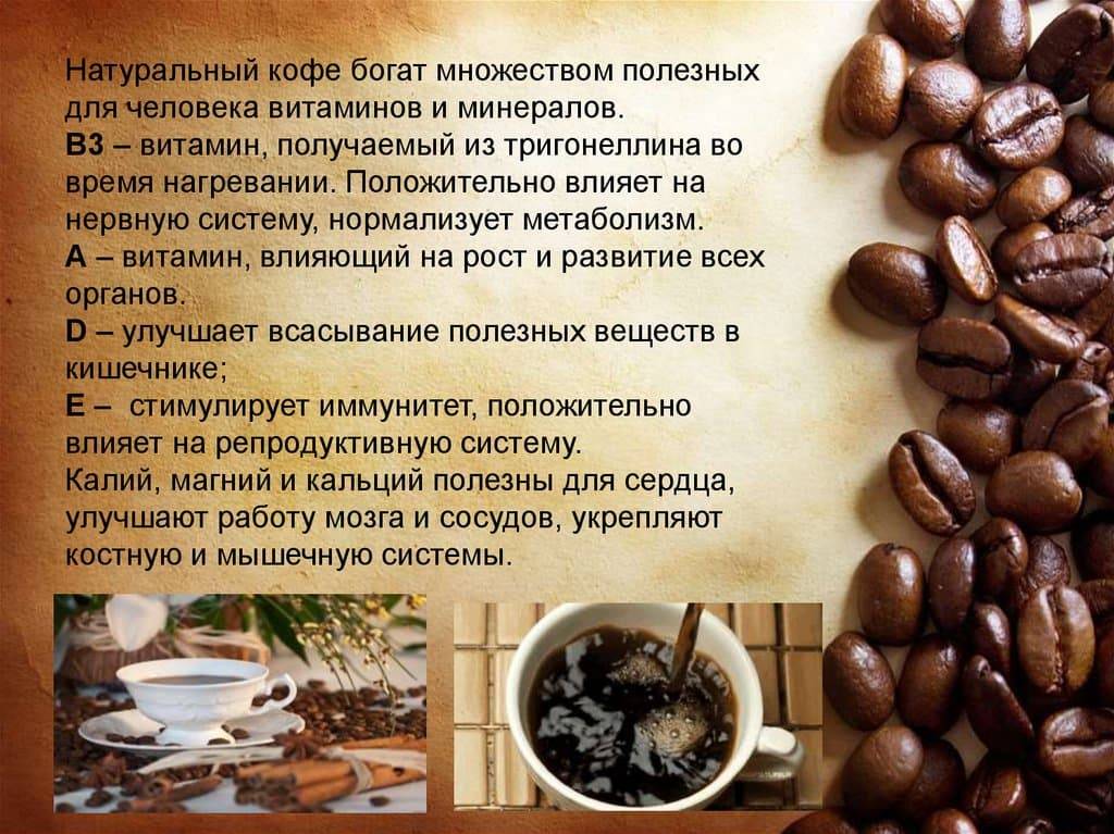 Кофе – польза и вред для здоровья, влияние на организм человека