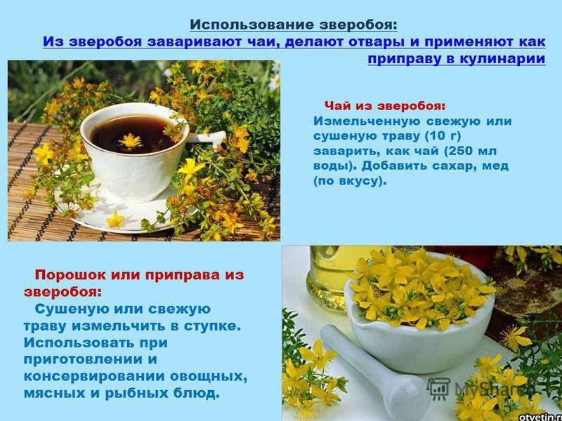Чем полезен чай с ромашкой для организма?
