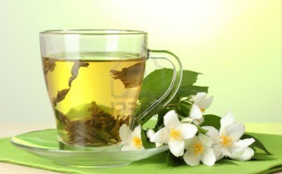 Жасминовый чай: неповторимый аромат