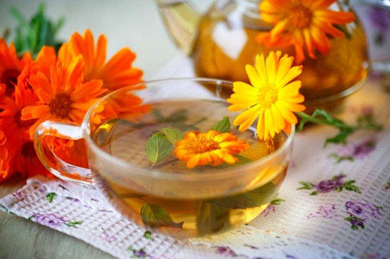 Чай из календулы: польза и вред, рецепты