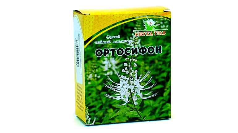 Ортосифон тычиночный (почечный чай)
