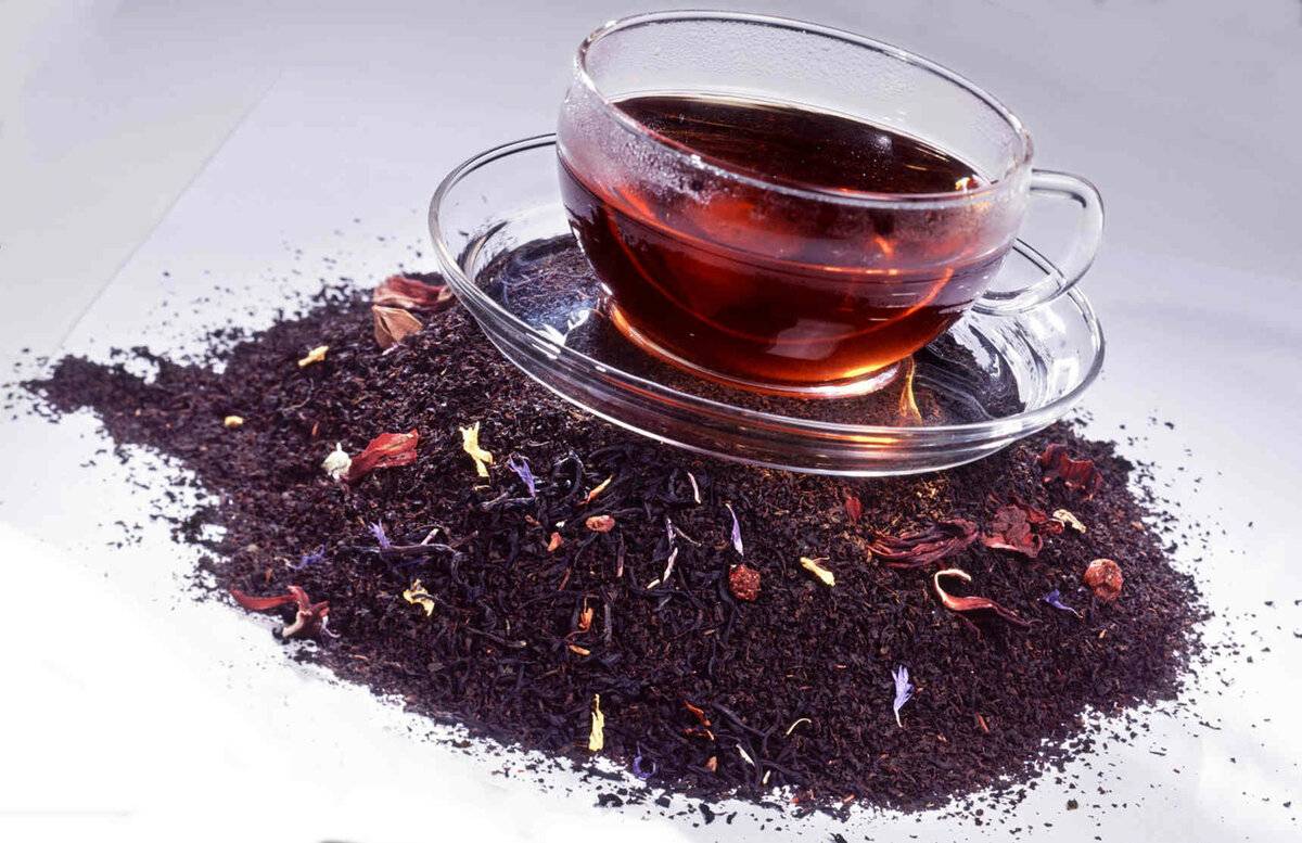 Чай ройбуш: полезные свойства и противопоказания уникального напитка