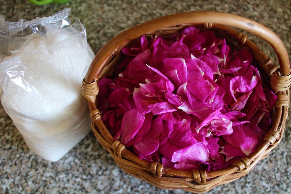 Варенье из лепестков роз: полезные свойства, старинные и современные рецепты, способ приготовления без варки