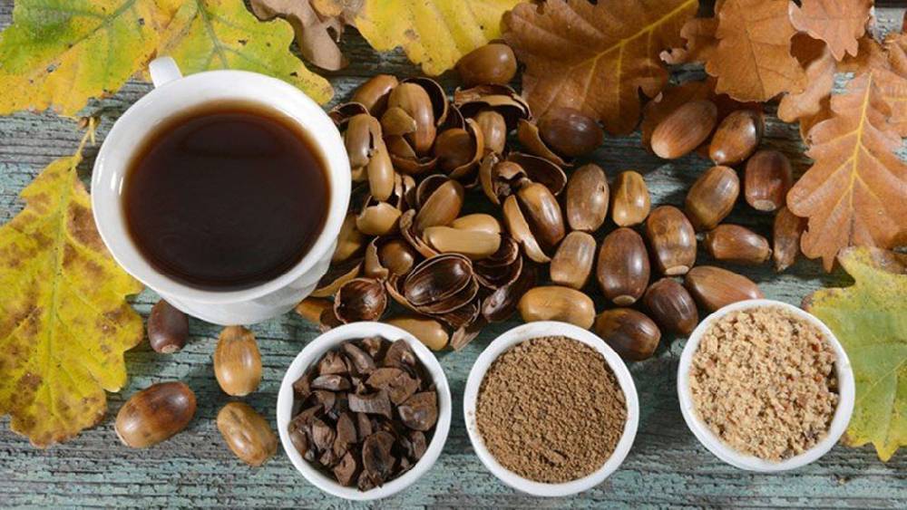 Кофе из желудей: польза и вред, рецепты приготовления