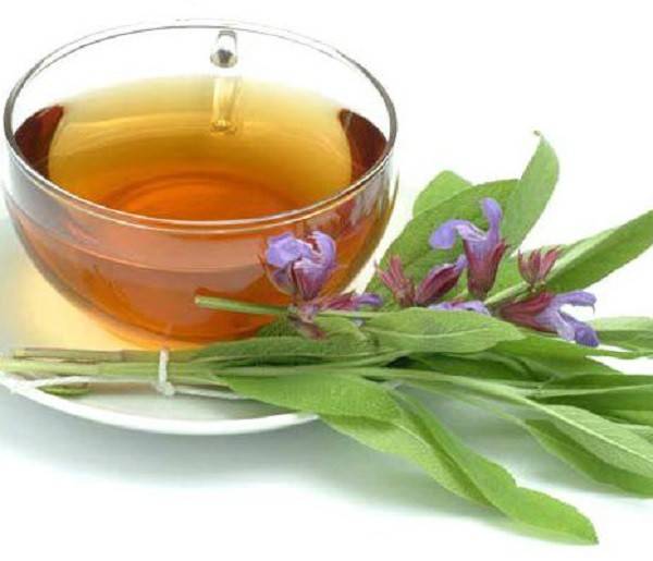 Готовим чай с шалфеем: 7 рецептов для разных случаев