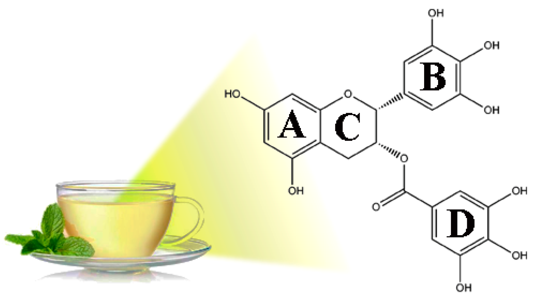 Немецкие ученые внесли зеленый чай в список продуктов, способных бороться с коронавирусом  - полезное на tea.ru