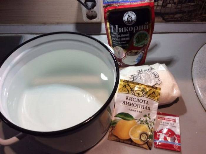 Квас из цикория: рецепты, как приготовить в домашних условиях