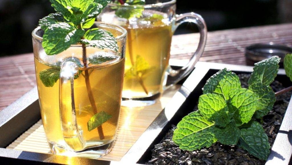 Чай с мятой польза и вред для здоровья человека
