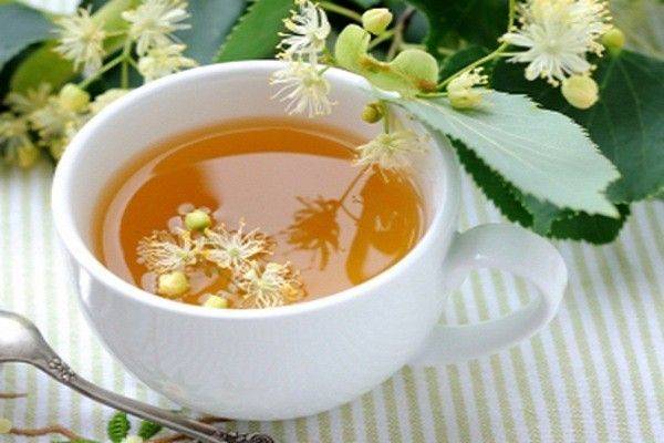 Липовый чай: польза и вред, как заваривать липу, противопоказания
