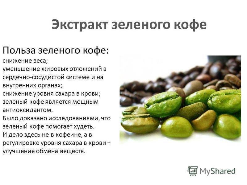 Зеленый кофе: эффективен ли для похудения, польза и вред, как правильно пить?