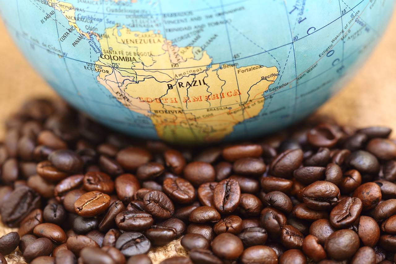 Кофе доминиканы: выращивание, сорта, культура потребления