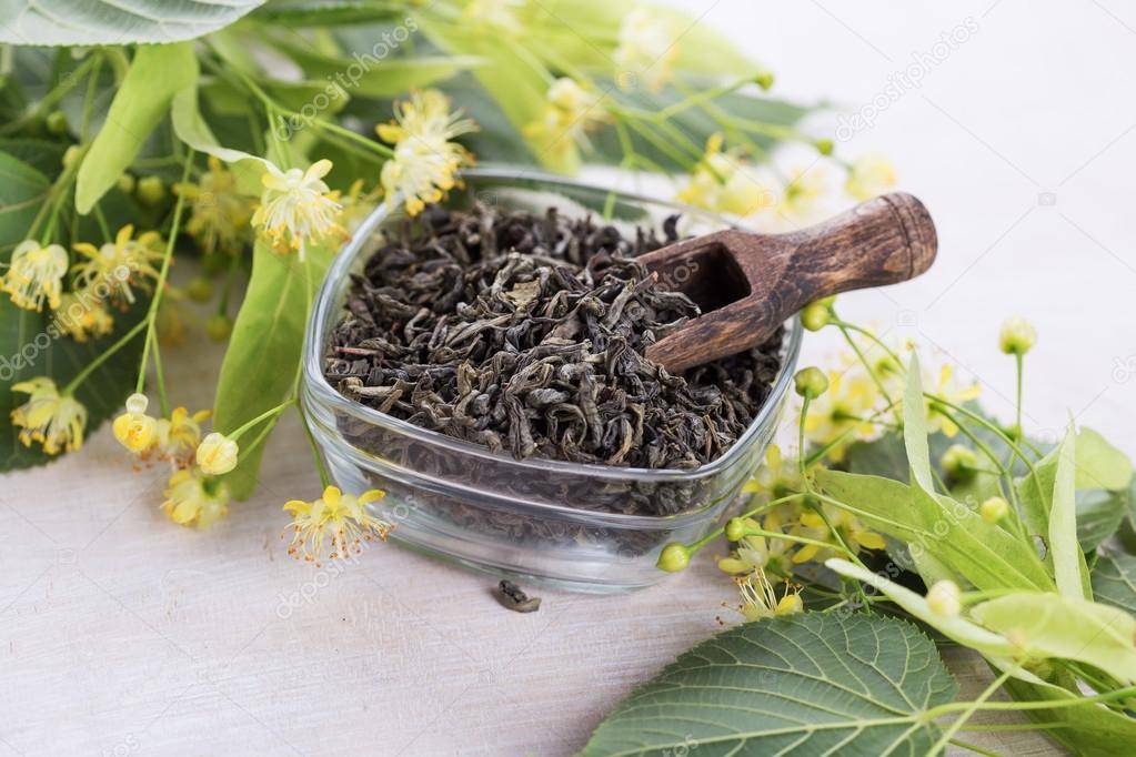 Липовый чай: полезные свойства и противопоказания, польза и вред чая из липы