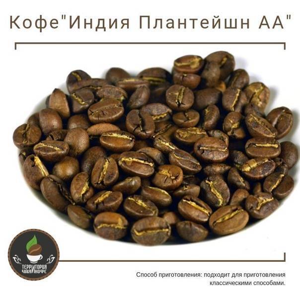 Виды и сорта кофе: принципы классификации и обзор лучших