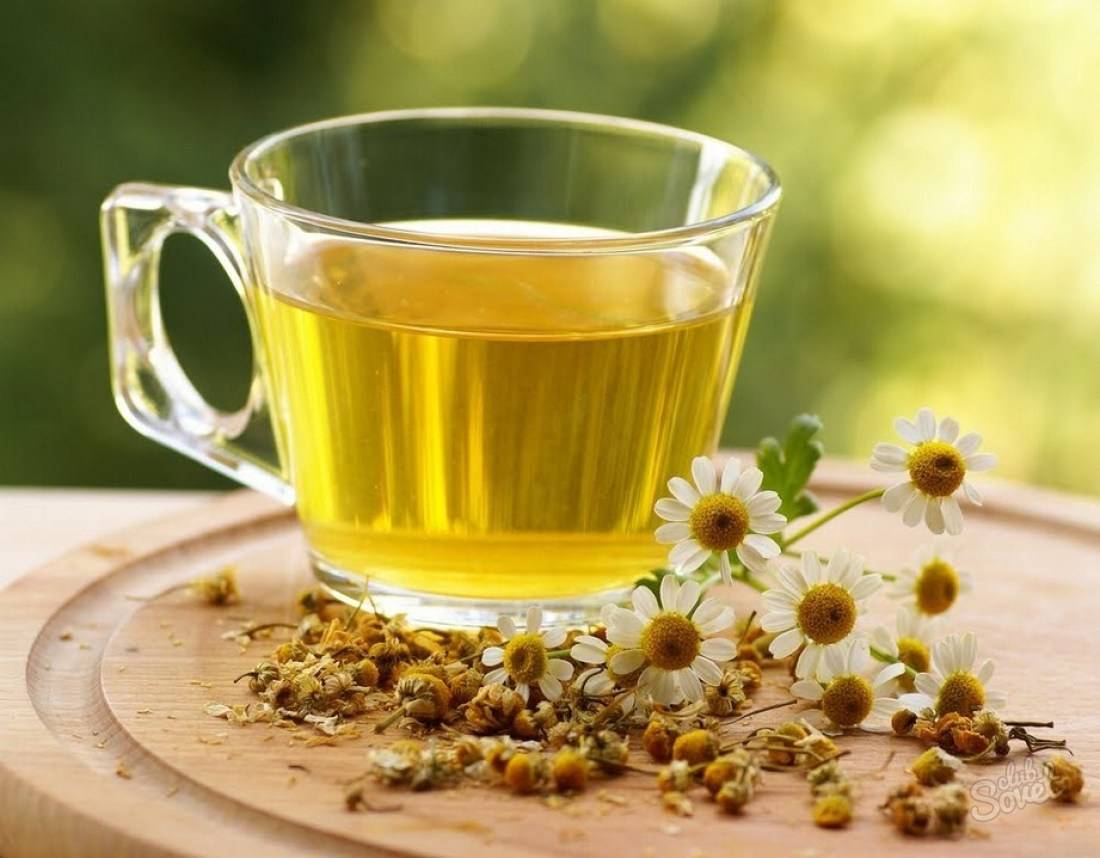 Ромашковый чай: польза, вред, как приготовить чай из ромашки