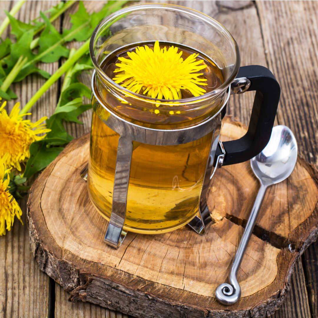 Польза и вред чая из одуванчиков: рецепт из корня, листьев, цветков