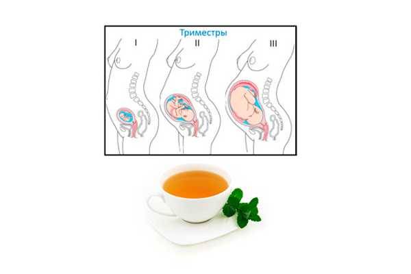 Можно ли пить чай беременным и какой?