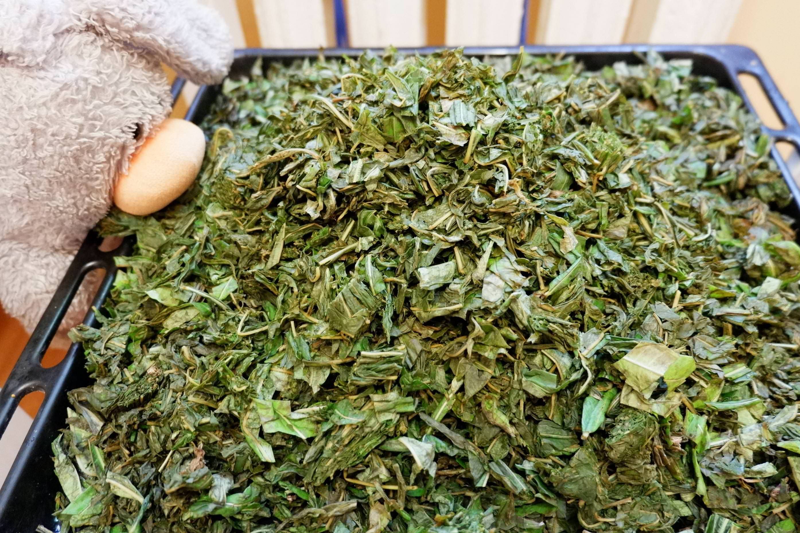 Какие травы можно собирать для чая и когда. какие травы для чая собирать | здоровое питание