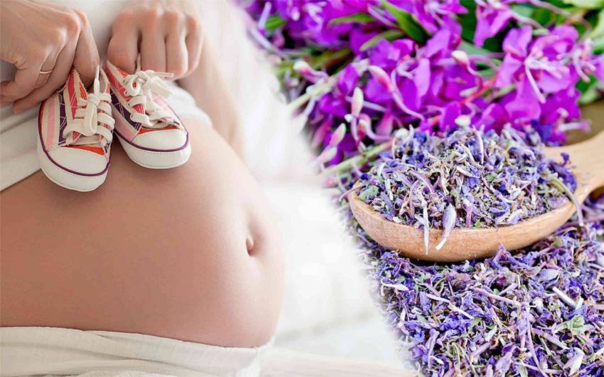 Ромашковый чай при беременности — польза и вред
