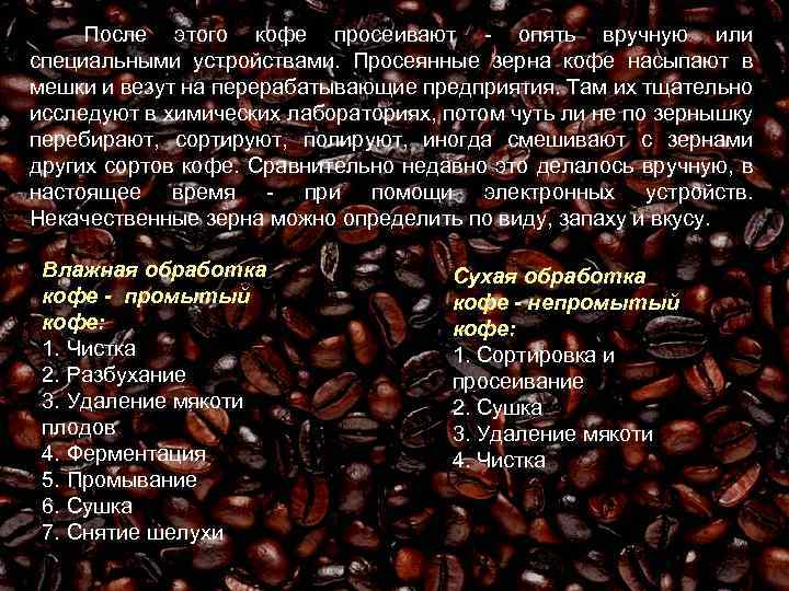 Сорта кофе в зернах: характеристика, классификация, методы оценки