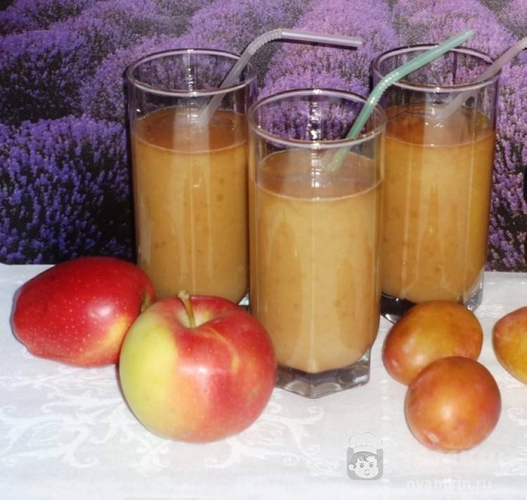 Фруктовый смузи (16 фото): рецепты для блендера и без него, для похудения и с молоком, с ягодами и соком. сочетание фруктов