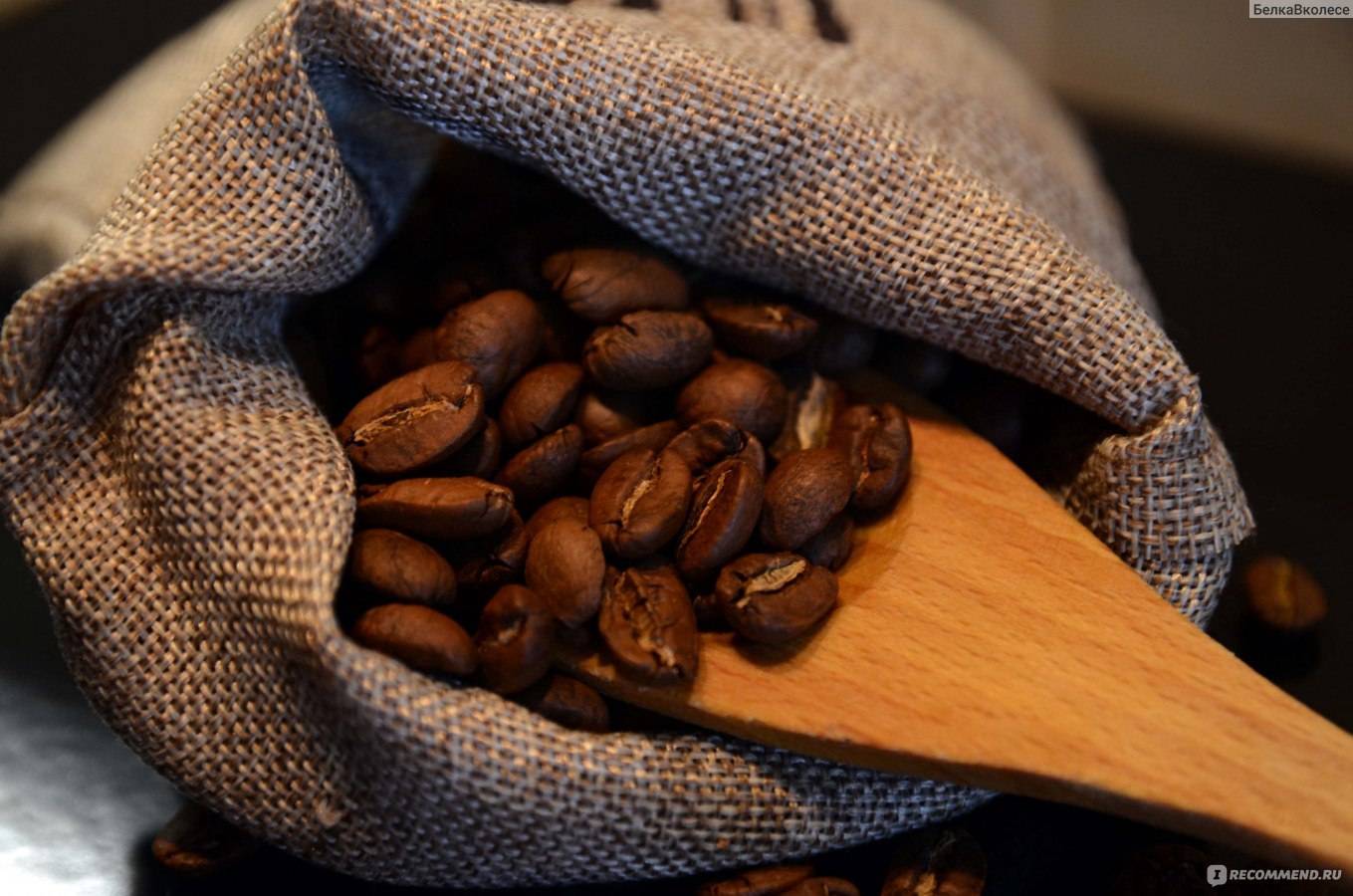 Кофе марагоджип: что это, особенности сорта и описание