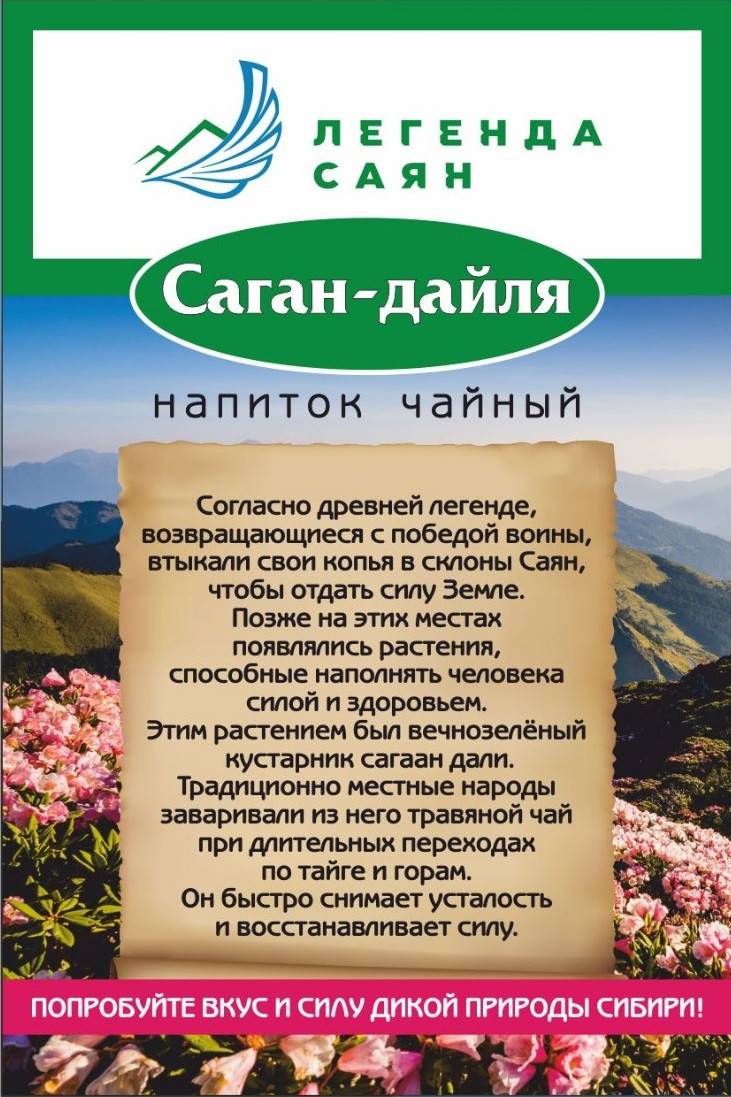 Саган дайля что за растение фото