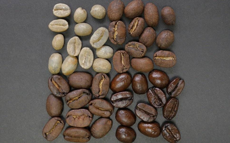 Кофе сорта либерика – редкость в местных магазинах