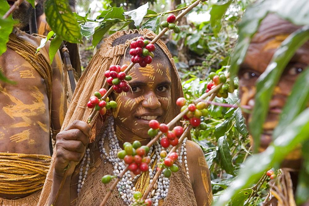 Производство кофе в папуа — новой гвинее
