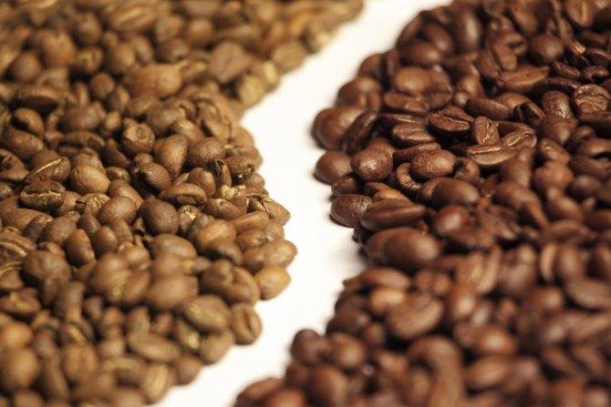 Лучший кофе в зернах 2022 года: обзор (топ-11) популярных продуктов