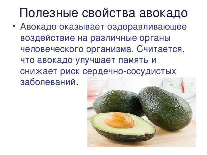 Авокадо - полезные свойства, противопоказания. как едят авокадо и что из него приготовить? как вырастить авокадо дома?