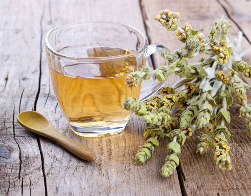 Мурсальский чай — полезные свойства и противопоказания