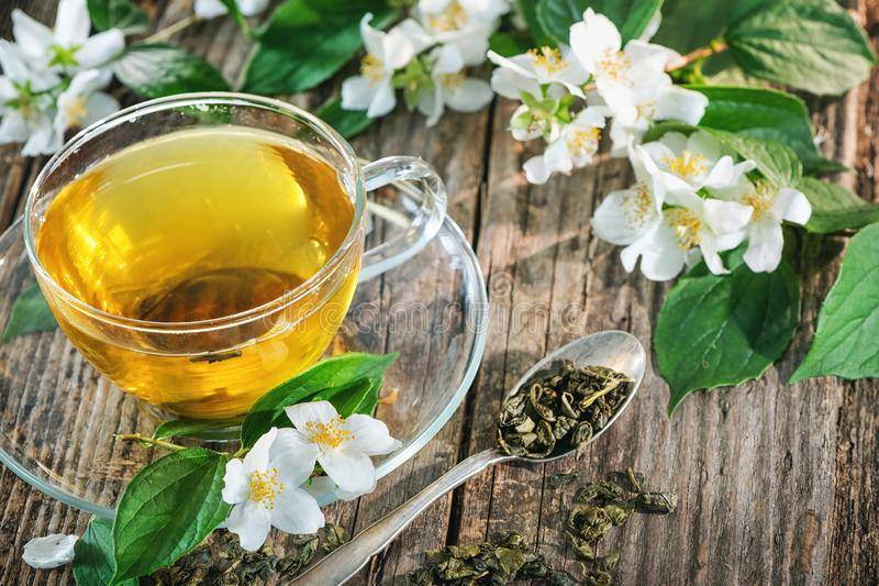 Чай с жасмином польза и вред, изучаем полезные свойства
