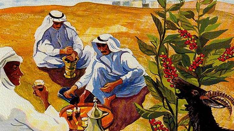 История кофе: происхождение и возникновение популярного напитка