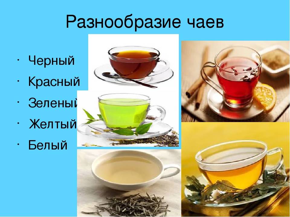 Какой чай лучше – черный или зеленый