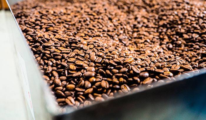 Где и как выращивают кофе. в каких странах выращивают кофе