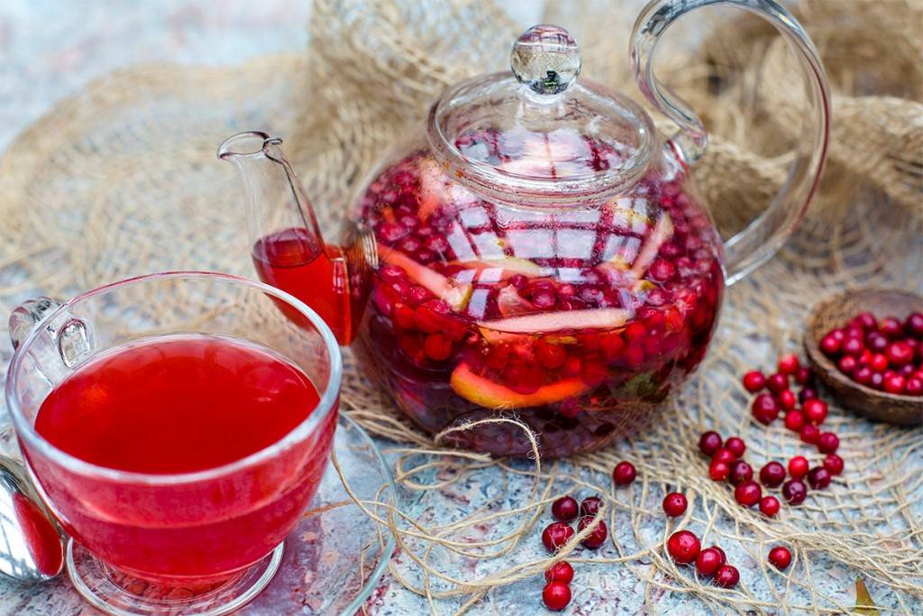 Чай с клюквой – полезные свойства, рецепты приготовления