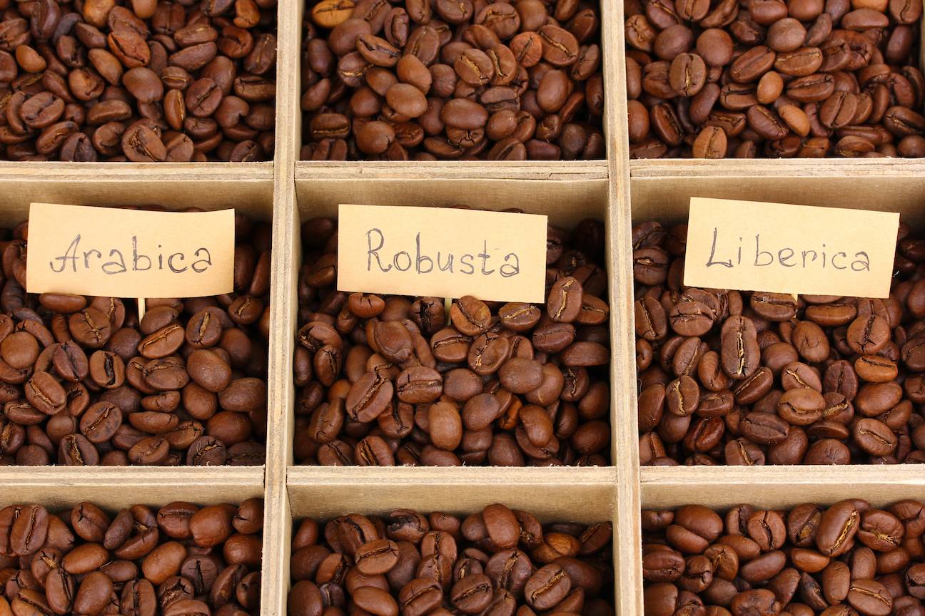 Где и как выращивают кофе