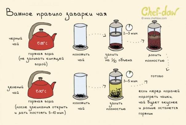 Как заварить черный чай и сохранить его полезные свойства