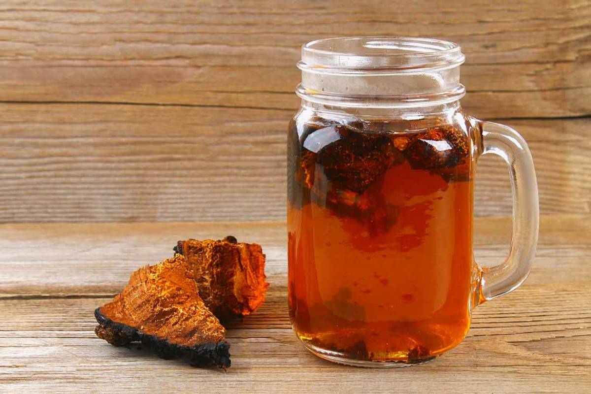 Чай из чаги березовой: полезные свойства и противопоказания, как заваривать и пить, 7 рецептов