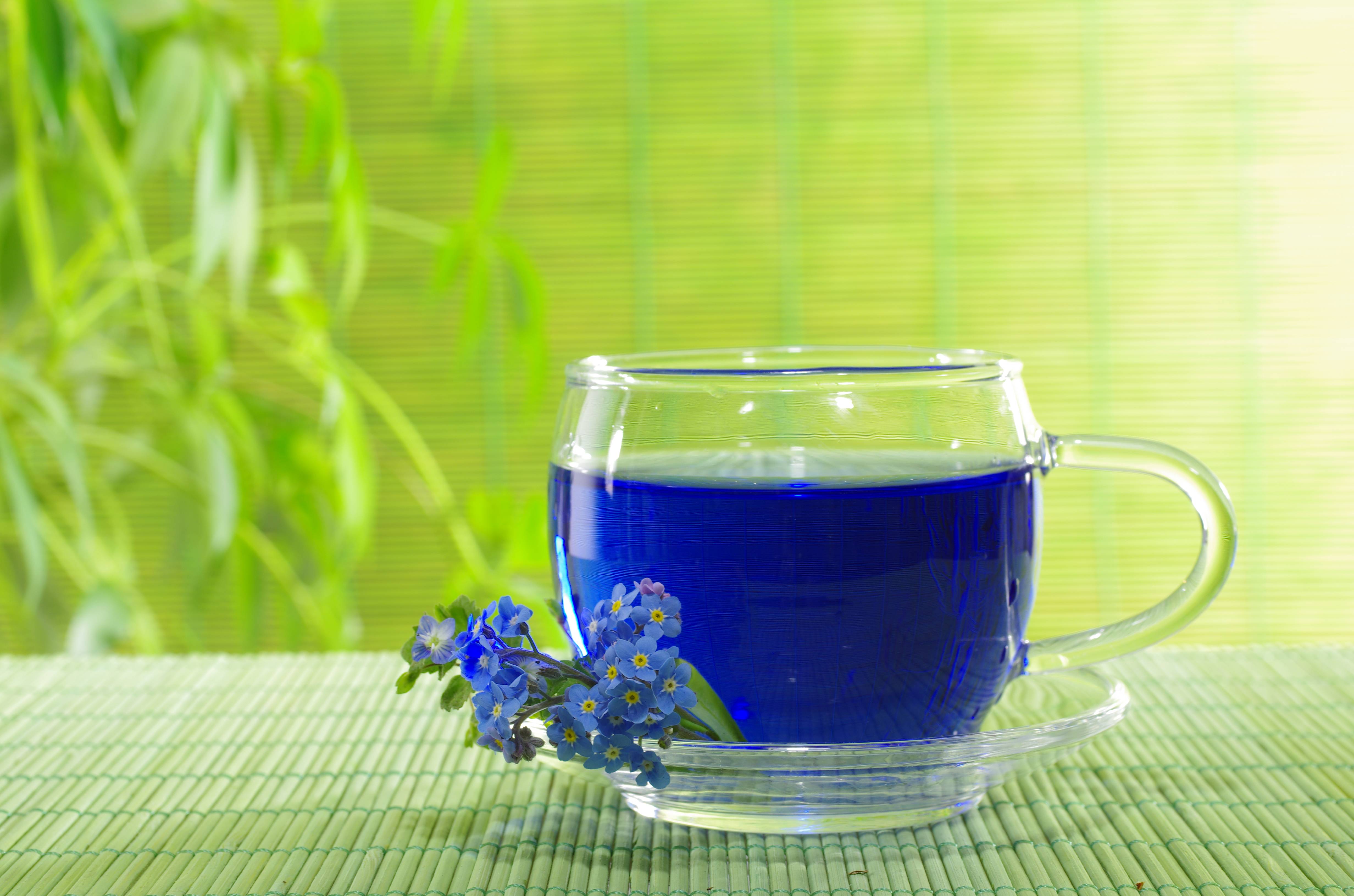 Синий чай из тайланда — полезные свойства анчана, как заваривать и пить